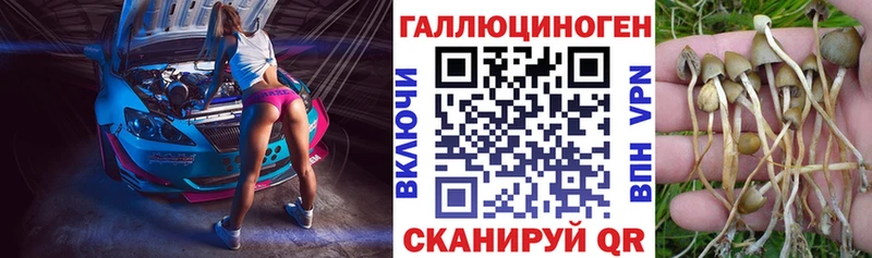 Псилоцибиновые грибы GOLDEN TEACHER  Керчь 